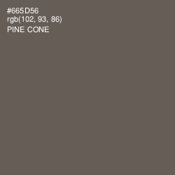 #665D56 - Pine Cone Color Image
